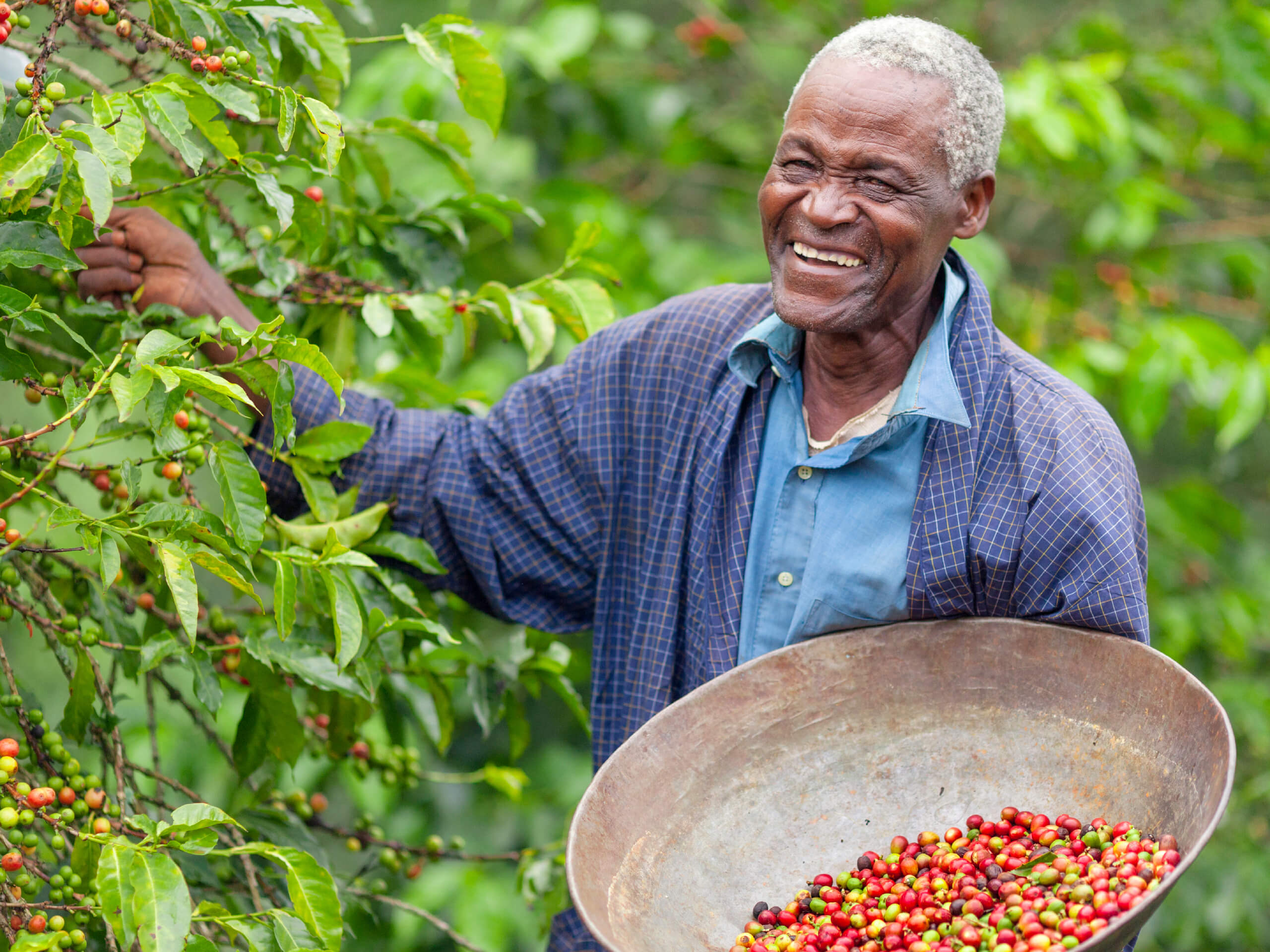 kenyan farmer-Experience Dynamics
