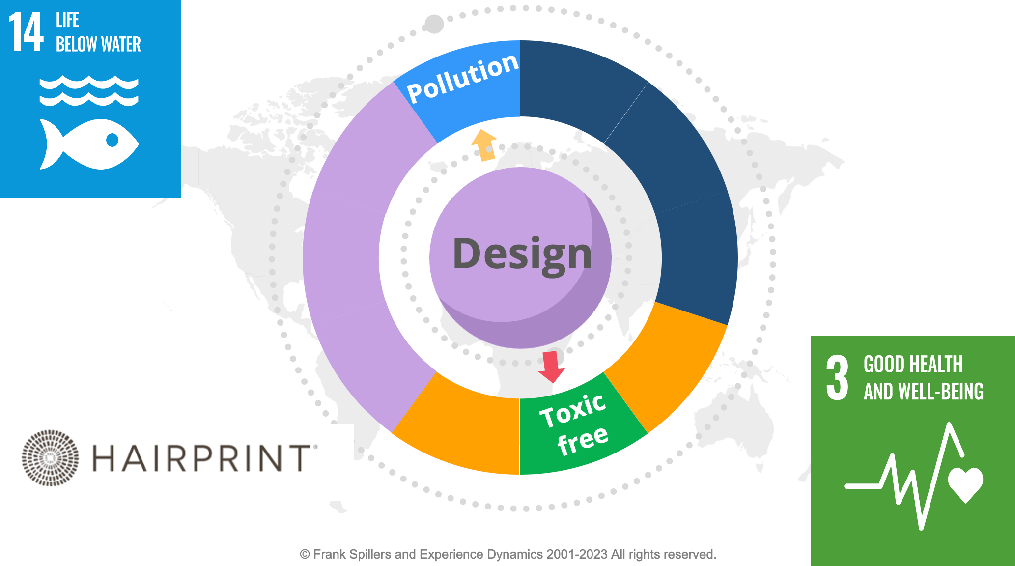 sustainable service design case study- Hairprint